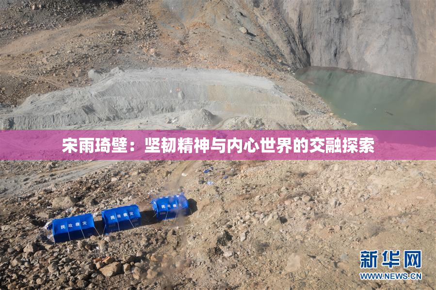 宋雨琦壁：坚韧精神与内心世界的交融探索