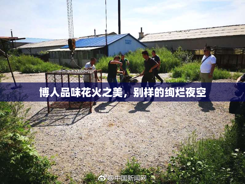 博人品味花火之美，别样的绚烂夜空