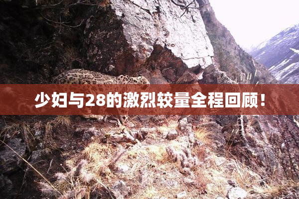 少妇与28的激烈较量全程回顾！