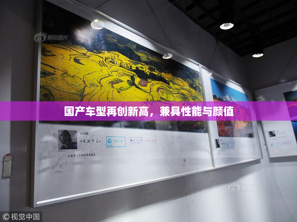 国产车型再创新高，兼具性能与颜值