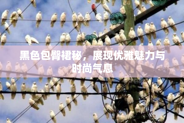 黑色包臀裙秘，展现优雅魅力与时尚气息