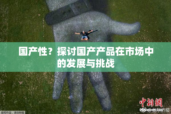 国产性？探讨国产产品在市场中的发展与挑战