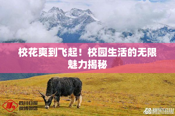 校花爽到飞起！校园生活的无限魅力揭秘