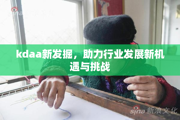 kdaa新发掘，助力行业发展新机遇与挑战