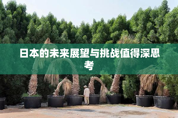 日本的未来展望与挑战值得深思考