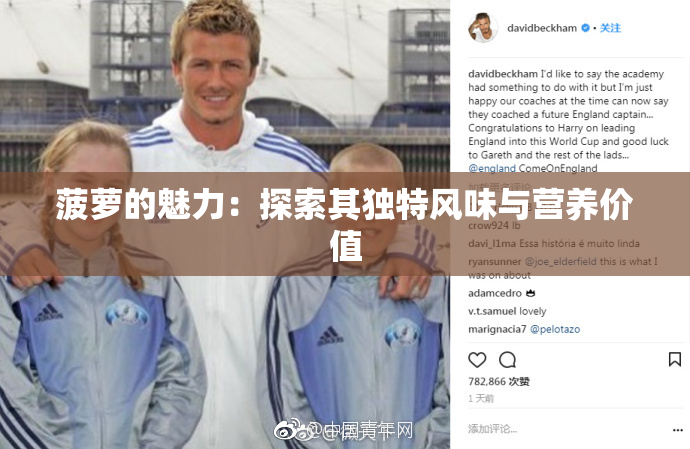菠萝的魅力：探索其独特风味与营养价值