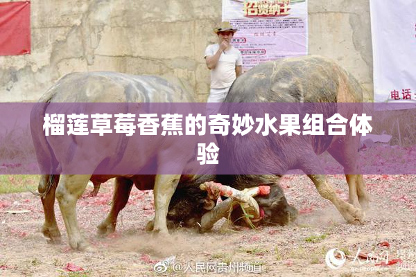 榴莲草莓香蕉的奇妙水果组合体验
