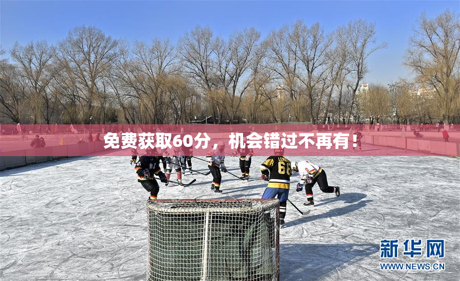 免费获取60分，机会错过不再有！
