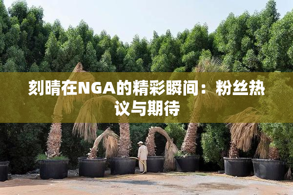 刻晴在NGA的精彩瞬间：粉丝热议与期待