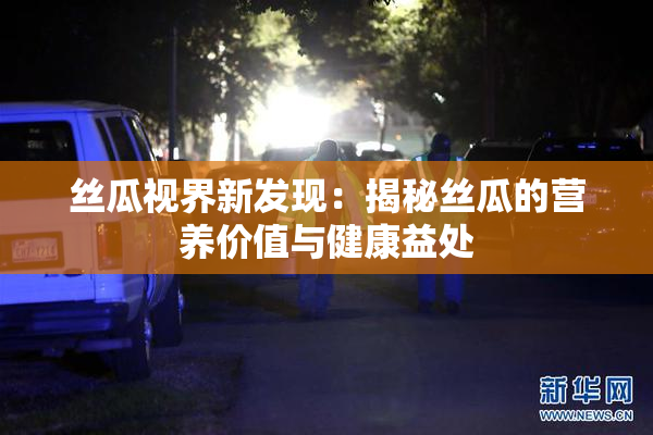 丝瓜视界新发现：揭秘丝瓜的营养价值与健康益处