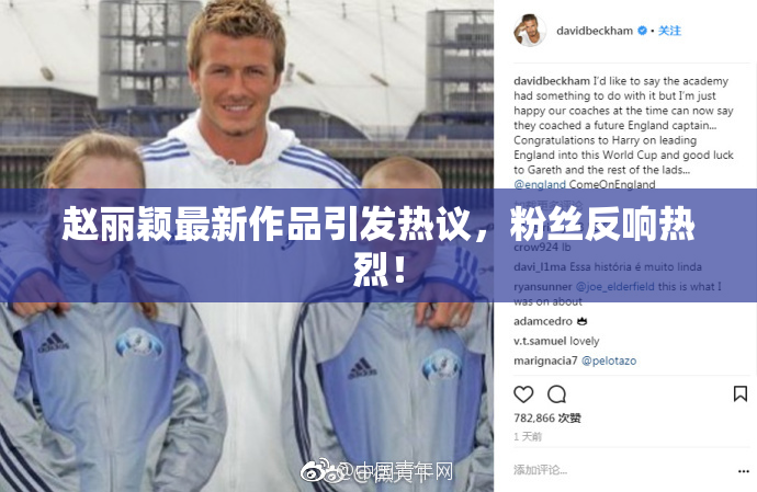 赵丽颖最新作品引发热议，粉丝反响热烈！