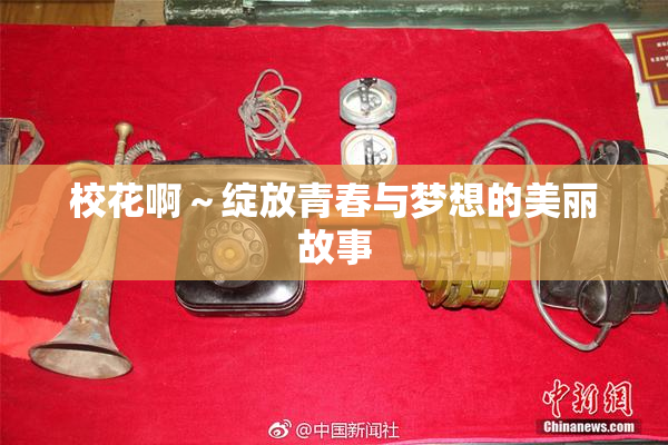 校花啊～绽放青春与梦想的美丽故事