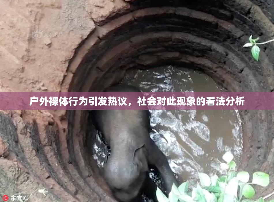 户外裸体行为引发热议，社会对此现象的看法分析