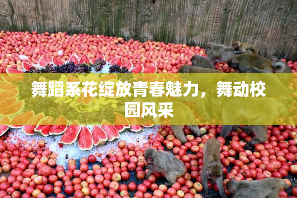 舞蹈系花绽放青春魅力，舞动校园风采