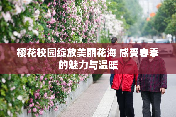 樱花校园绽放美丽花海 感受春季的魅力与温暖