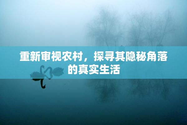 重新审视农村，探寻其隐秘角落的真实生活