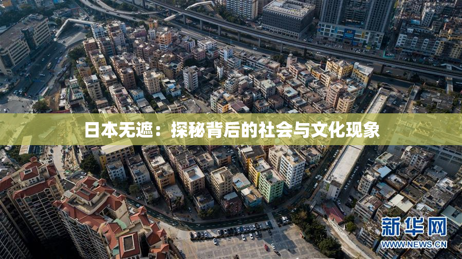 日本无遮：探秘背后的社会与文化现象