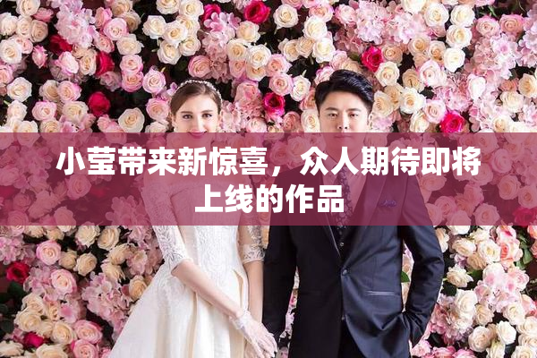 小莹带来新惊喜，众人期待即将上线的作品