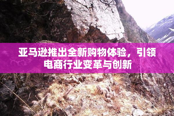 亚马逊推出全新购物体验，引领电商行业变革与创新
