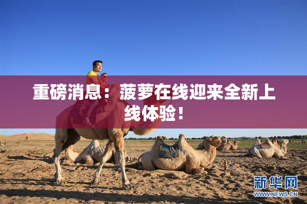 重磅消息：菠萝在线迎来全新上线体验！