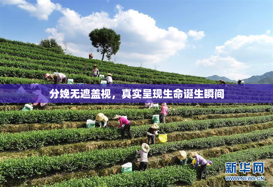 分娩无遮盖视，真实呈现生命诞生瞬间