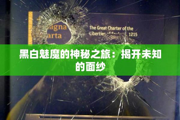 黑白魅魔的神秘之旅：揭开未知的面纱