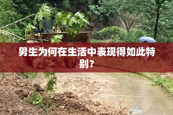 男生为何在生活中表现得如此特别？