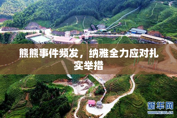 熊熊事件频发，纳雅全力应对扎实举措