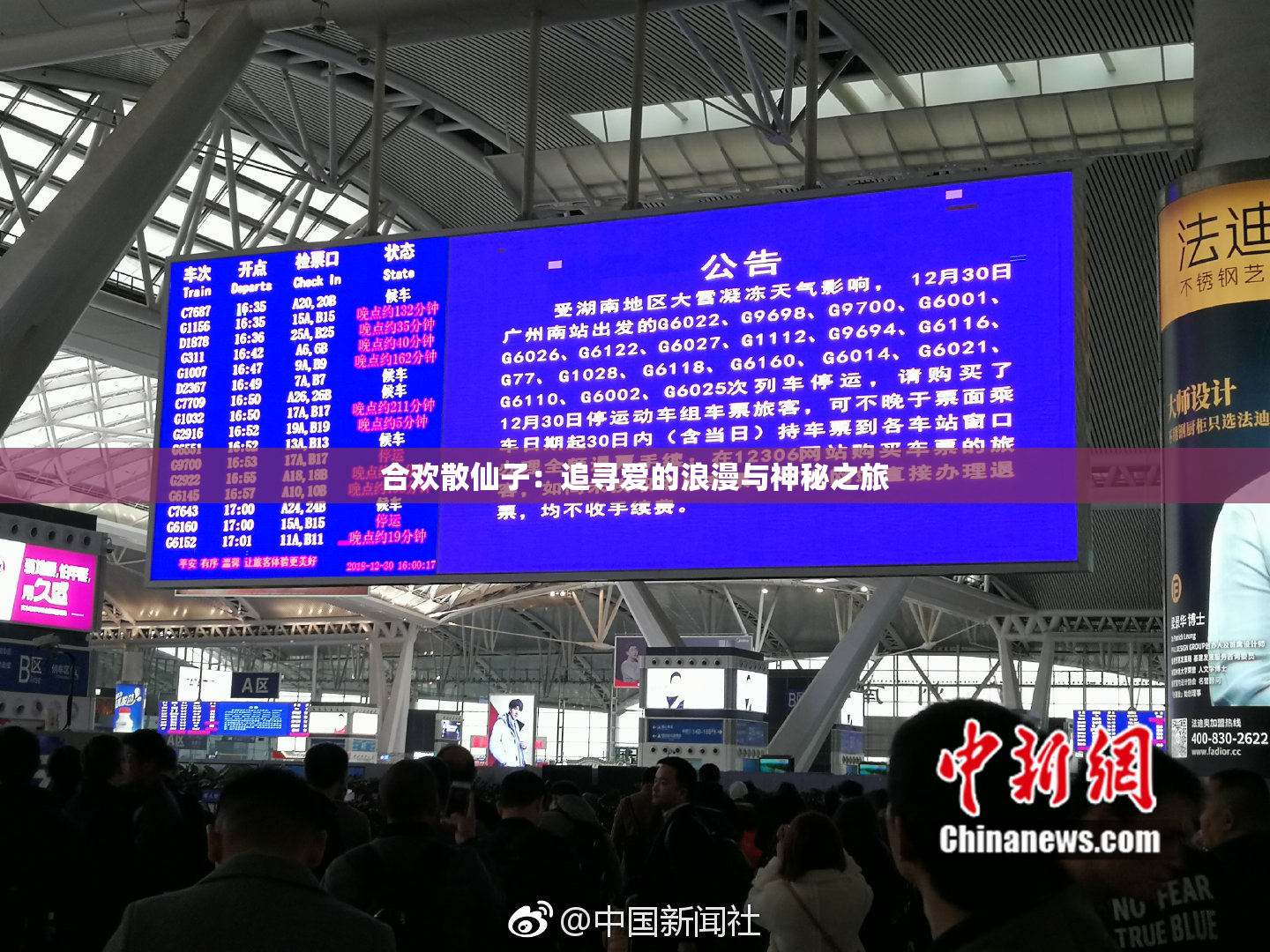 合欢散仙子：追寻爱的浪漫与神秘之旅