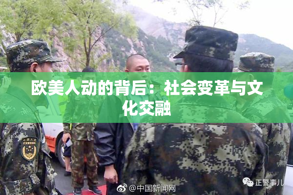 欧美人动的背后：社会变革与文化交融