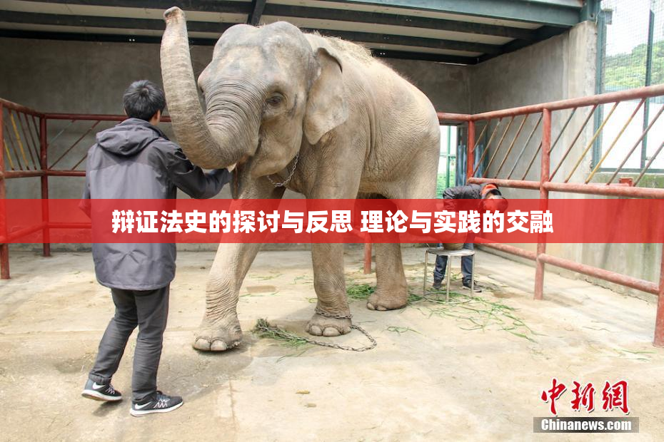 辩证法史的探讨与反思 理论与实践的交融