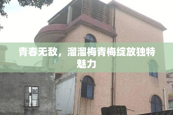 青春无敌，溜溜梅青梅绽放独特魅力