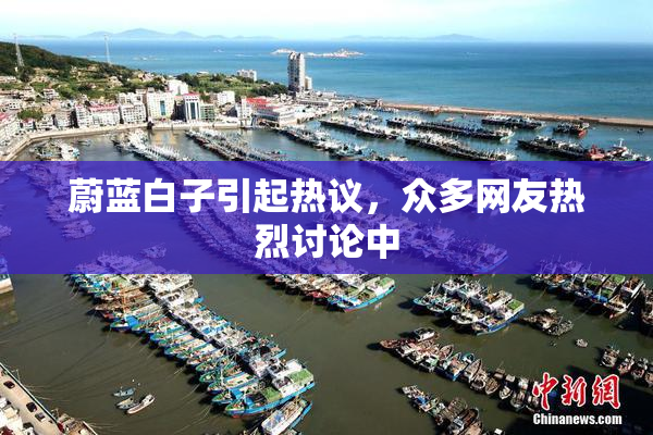 蔚蓝白子引起热议，众多网友热烈讨论中