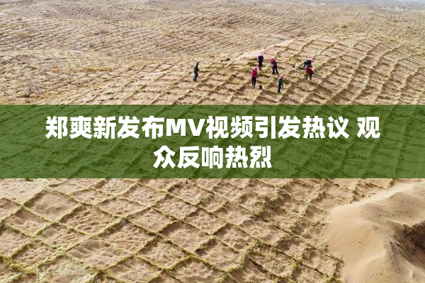 郑爽新发布MV视频引发热议 观众反响热烈