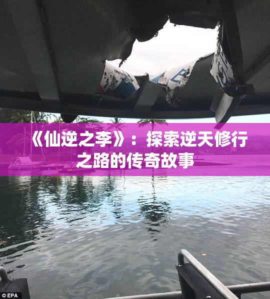 《仙逆之李》：探索逆天修行之路的传奇故事