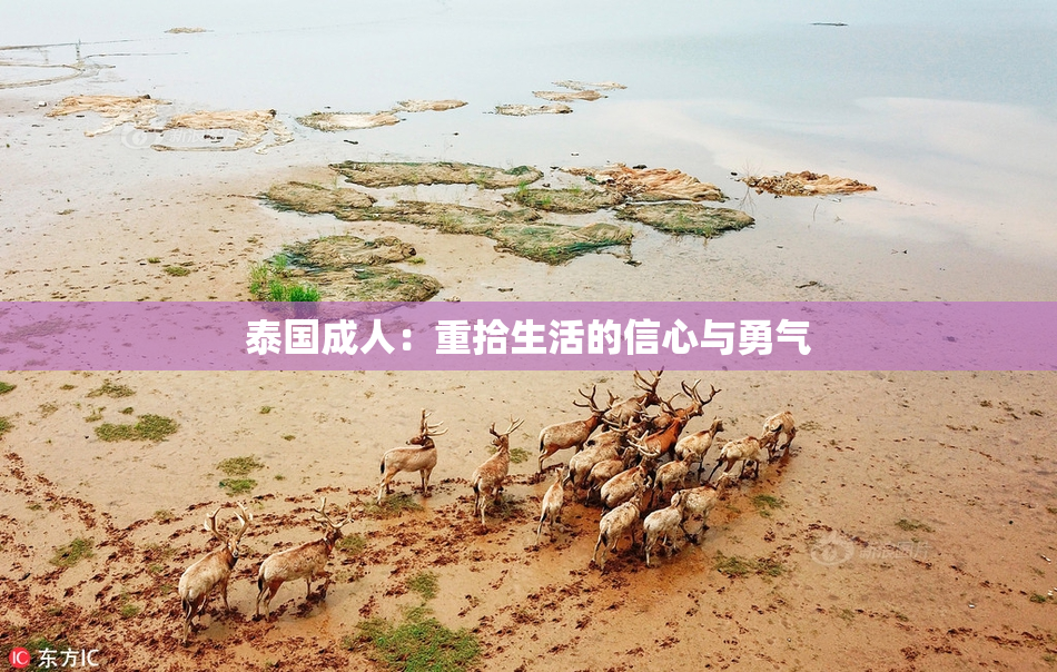 泰国成人：重拾生活的信心与勇气