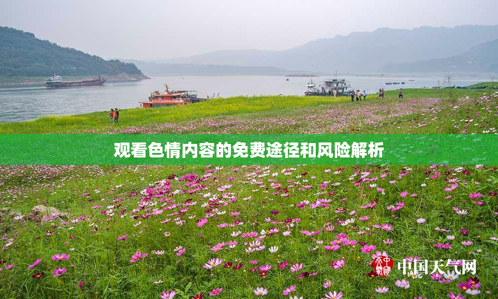 观看色情内容的免费途径和风险解析