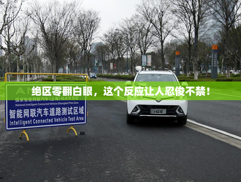 绝区零翻白眼，这个反应让人忍俊不禁！