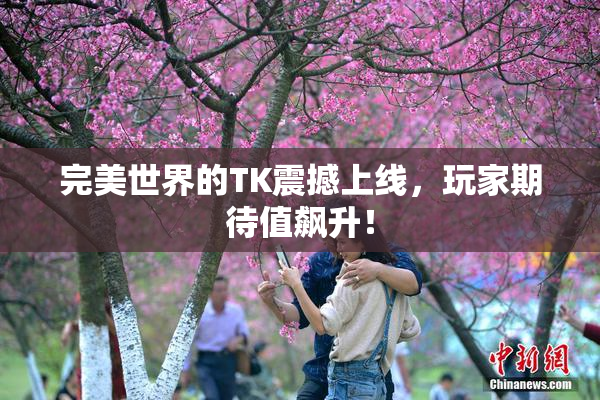 完美世界的TK震撼上线，玩家期待值飙升！