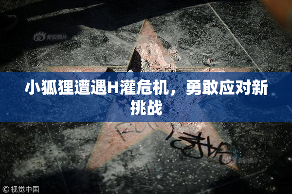 小狐狸遭遇H灌危机，勇敢应对新挑战
