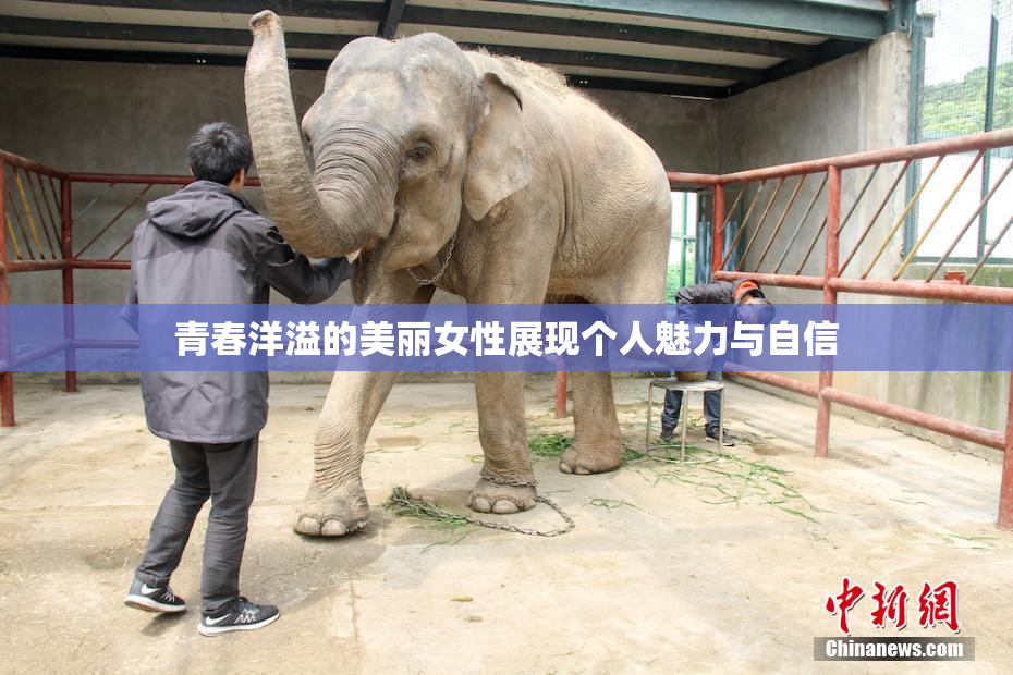 青春洋溢的美丽女性展现个人魅力与自信
