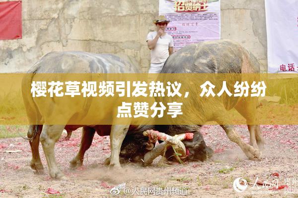 樱花草视频引发热议，众人纷纷点赞分享