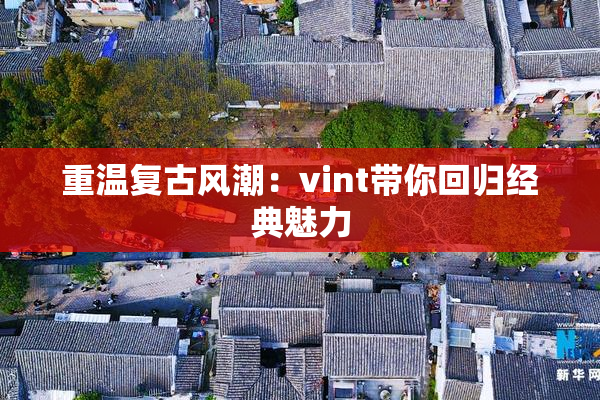 重温复古风潮：vint带你回归经典魅力