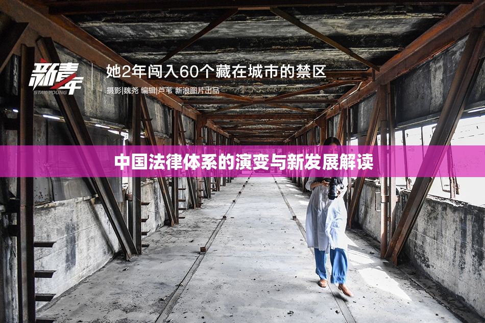 中国法律体系的演变与新发展解读