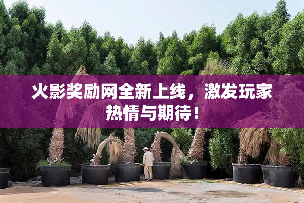 火影奖励网全新上线，激发玩家热情与期待！