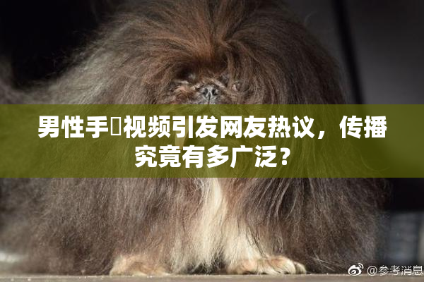 男性手婬视频引发网友热议，传播究竟有多广泛？