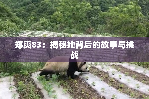 郑爽83：揭秘她背后的故事与挑战