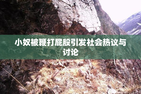 小奴被鞭打屁股引发社会热议与讨论