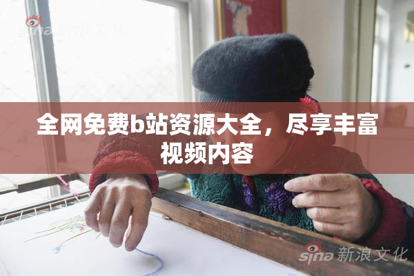 全网免费b站资源大全，尽享丰富视频内容