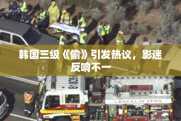 韩国三级《偷》引发热议，影迷反响不一